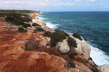 100 km Mallorca trails.