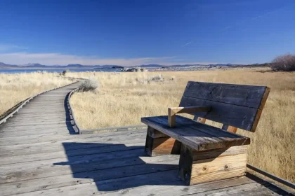 Entry Mono Lake