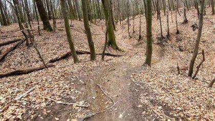 MTB Singletrack Močiarna