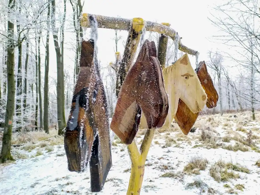 Túra na Konské hlavy trasou z Limbachu