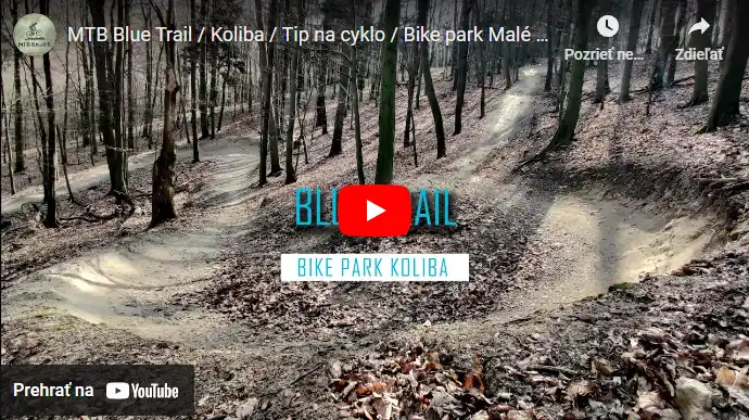 MTB blue trail