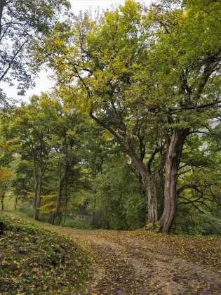 Zostup do Považského Podhradia