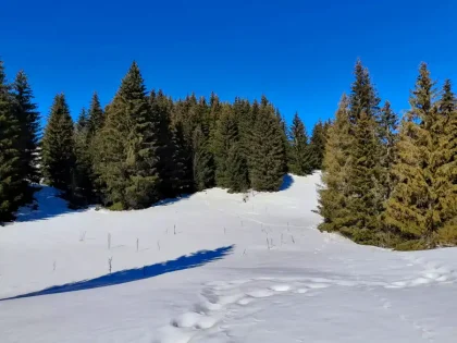 Lúky za Prosieckou dolinou