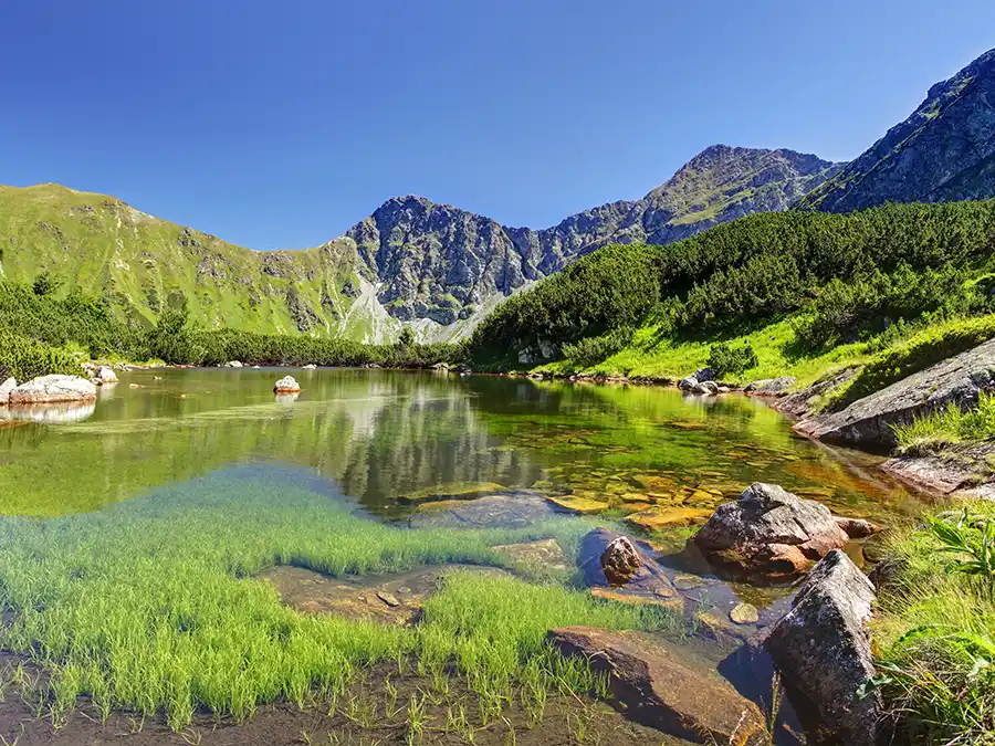 Horné roháčske pleso