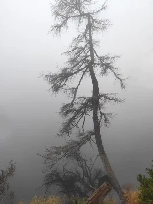 Štrbské pleso