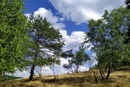 Vrch Bazgovič