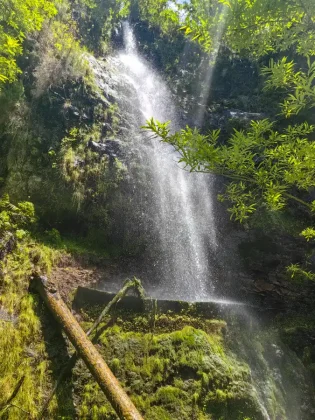 Ann's Waterfall