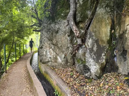 Levada de Moinho