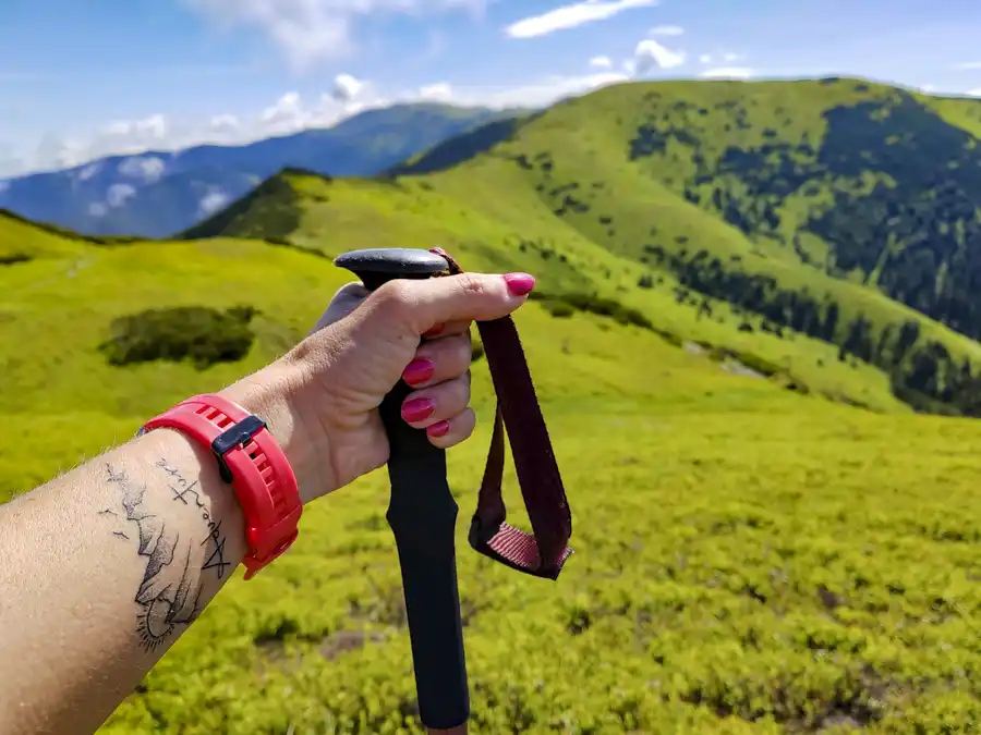 Nízke Tatry hrebeňovka