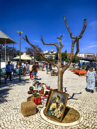 Estremoz market