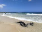 Fuerteventura