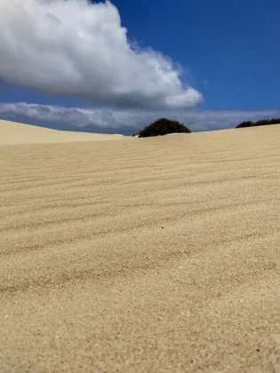 Duny Corralejo