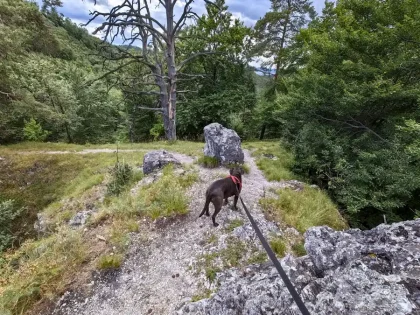 Uhrovecká jaskyňa