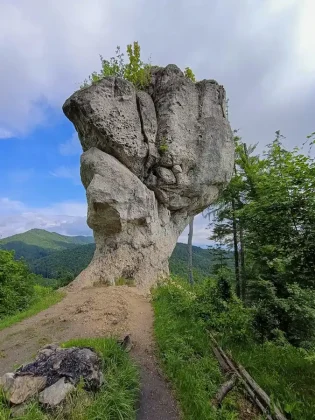 Stratený budzogáň