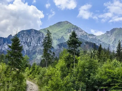 Pohľad na Belianske Tatry