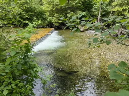 Potok v Monkovej doline