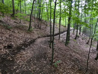 Laskomerský trail