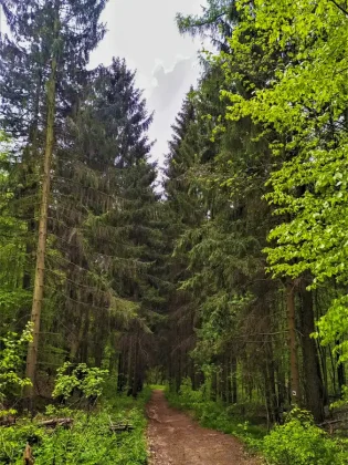 Cesta k Dobrovodskému hradu