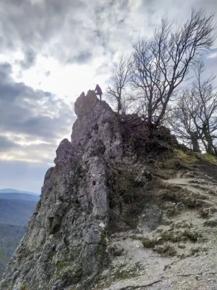 Kršlenica