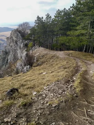 Kršlenica