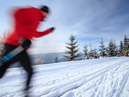 Slovenské bežkárske strediská