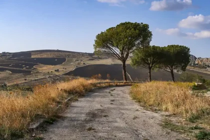 Magna Via Francigena