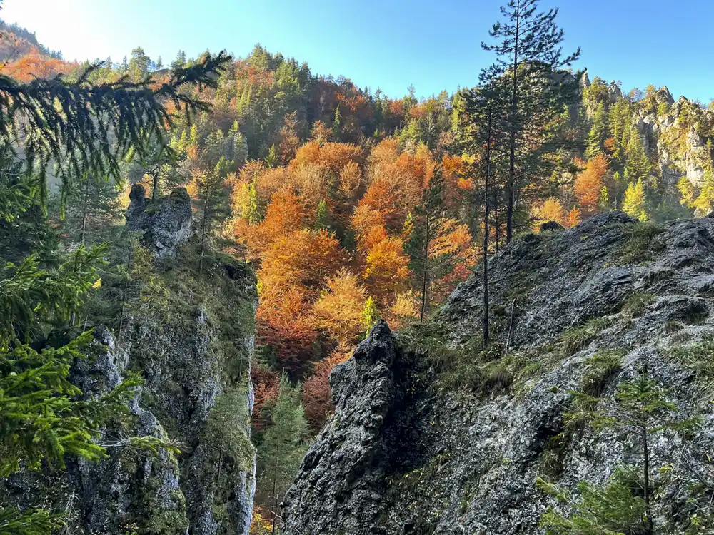 Výhľady v Malej fatre