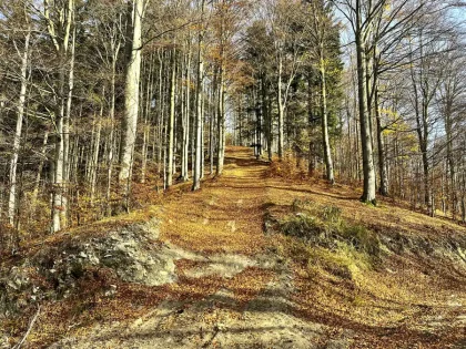 esenné MTB Malá Fatra