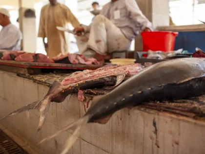 Fish market Mina al Fahal