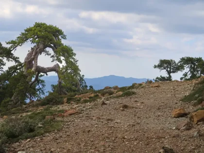 Troodos