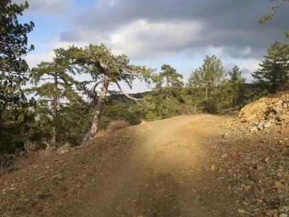 Troodos na streche Cypru