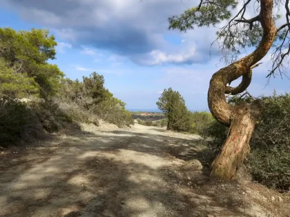 Polis trail cyprus